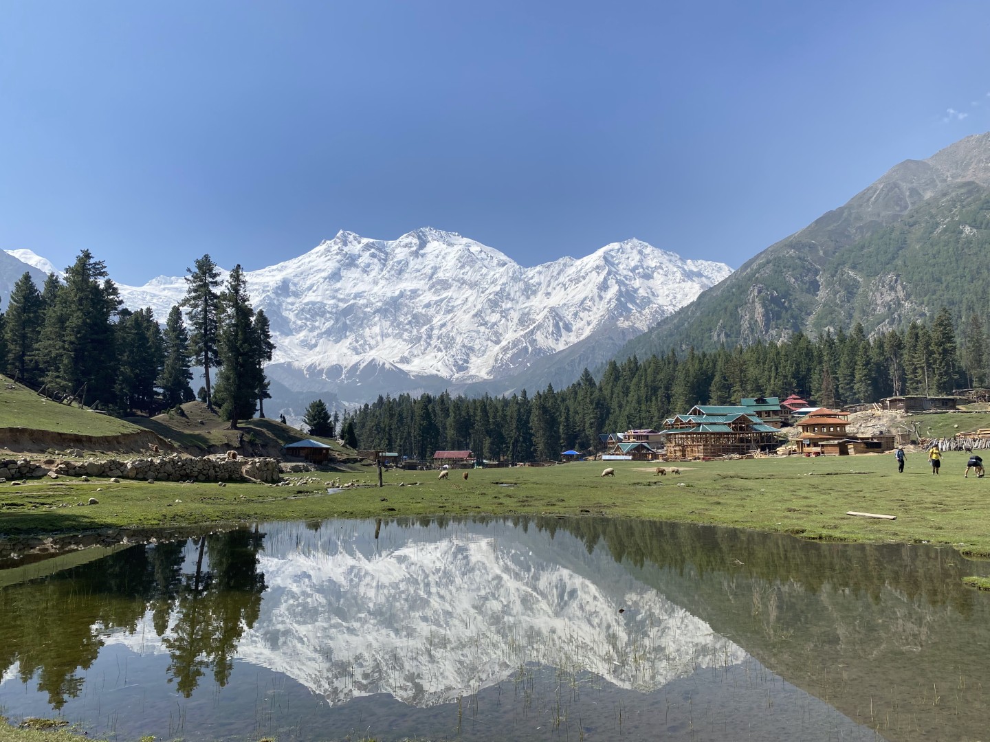 Nanga Parbat, Diamer